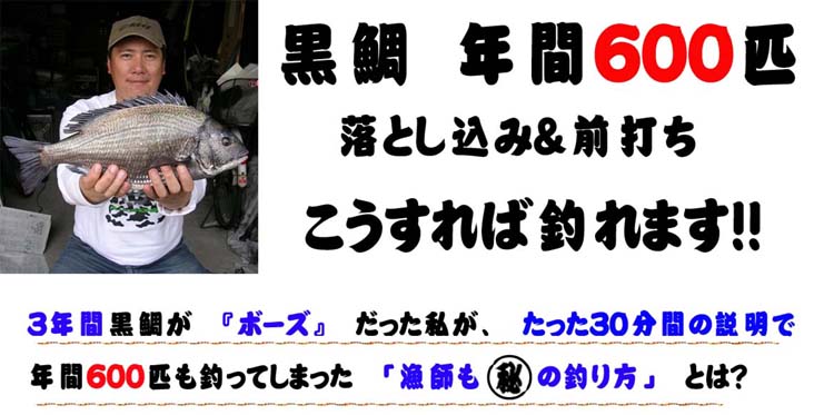 黒鯛(チヌ) 年間600匹 落とし込み&前打ち こうすれば釣れます!!