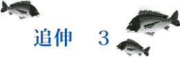追伸3 追伸3
