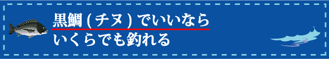 黒鯛(チヌ)でいいならいくらでも釣れる 黒鯛(チヌ)でいいならいくらでも釣れる