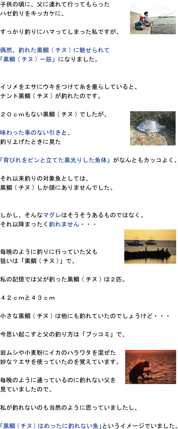 子供の頃に父に連れて行ってもらったハゼ釣りをキッカケに、すっかり釣りにハマってしまった私ですが、偶然釣れた黒鯛(チヌ)に魅せられて「黒鯛(チヌ)一筋」になりました。イソメをエサにウキをつけて糸を垂らしていると、ナント黒鯛(チヌ)が釣れたのです。20cmもない黒鯛(チヌ)でしたが、味わった事のない引きと、釣り上げたときに見た「背びれをピンと立てた黒光りした魚体」がなんともカッコよく、それ以来釣りの対象魚としては黒鯛(チヌ)しか頭にありませんでした。しかし、そんなマグレはそうそうあるものではなく、それ以降まったく釣れません・・・毎晩のように釣りに行っていた父も狙いは「黒鯛(チヌ)」で、私の記憶では父が釣った黒鯛(チヌ)は2匹。42cmと43cm 小さな黒鯛(チヌ)は他にも釣れていたのでしょうけど・・・今思い起こすと父の釣り方は「ブッコミ」で、岩ムシや小麦粉にイカのハラワタを混ぜた妙な?エサを使っていたのを覚えています。毎晩のように通っているのに釣れない父を見ていましたので、私が釣れないのも当然のように思っていましたし、「黒鯛(チヌ)はめったに釣れない魚」というイメージでいました。 子供の頃に父に連れて行ってもらったハゼ釣りをキッカケに、すっかり釣りにハマってしまった私ですが、偶然釣れた黒鯛(チヌ)に魅せられて「黒鯛(チヌ)一筋」になりました。イソメをエサにウキをつけて糸を垂らしていると、ナント黒鯛(チヌ)が釣れたのです。20cmもない黒鯛(チヌ)でしたが、味わった事のない引きと、釣り上げたときに見た「背びれをピンと立てた黒光りした魚体」がなんともカッコよく、それ以来釣りの対象魚としては黒鯛(チヌ)しか頭にありませんでした。しかし、そんなマグレはそうそうあるものではなく、それ以降まったく釣れません・・・毎晩のように釣りに行っていた父も狙いは「黒鯛(チヌ)」で、私の記憶では父が釣った黒鯛(チヌ)は2匹。42cmと43cm 小さな黒鯛(チヌ)は他にも釣れていたのでしょうけど・・・今思い起こすと父の釣り方は「ブッコミ」で、岩ムシや小麦粉にイカのハラワタを混ぜた妙な?エサを使っていたのを覚えています。毎晩のように通っているのに釣れない父を見ていましたので、私が釣れないのも当然のように思っていましたし、「黒鯛(チヌ)はめったに釣れない魚」というイメージでいました。