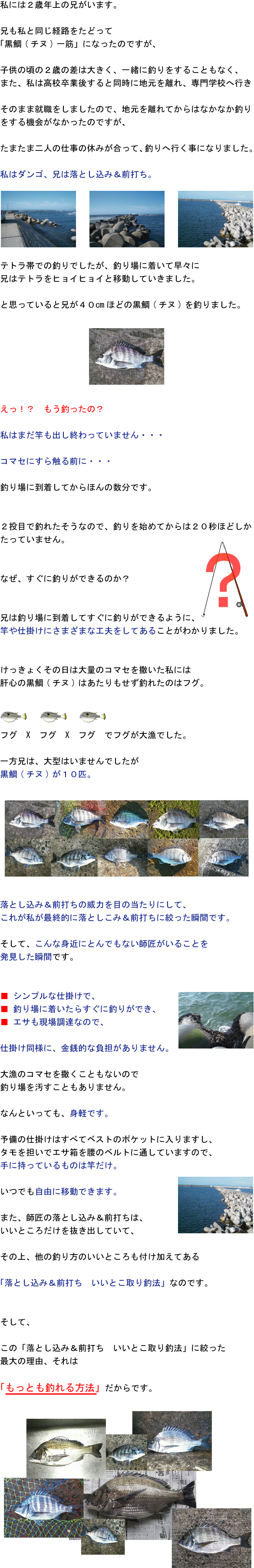 私には2歳年上の兄がいます。兄も私と同じ経路をたどって「黒鯛(チヌ)一筋」になったのですが、子供の頃の2歳の差は大きく、一緒に釣りをすることもなく、また、私は高校卒業後すると同時に地元を離れ、専門学校へ行きそのまま就職をしましたので、地元を離れてからはなかなか釣りをする機会がなかったのですが、たまたま二人の仕事の休みが合って、釣りへ行く事になりました。私はダンゴ、兄は落とし込み&前打ち。テトラ帯での釣りでしたが、釣り場に着いて早々に兄はテトラをヒョイヒョイと移動していきました。と思っていると兄が40cmほどの黒鯛(チヌ)を釣りました。えっ!? もう釣ったの?私はまだ竿も出し終わっていません・・・コマセにすら触る前に・・・釣り場に到着してからほんの数分です。2投目で釣れたそうなので、釣りを始めてからは20秒ほどしかたっていません。なぜすぐに釣りができるのか?兄は釣り場に到着してすぐに釣りができるように、竿や仕掛けにさまざまな工夫をしてあることがわかりました。けっきょくその日は大量のコマセを撒いた私には肝心の黒鯛(チヌ)はあたりもせず釣れたのはフグ。フグ X フグ X フグ でフグが大漁でした。一方兄は、大型はいませんでしたが黒鯛(チヌ)が10匹。落とし込み&前打ちの威力を目の当たりにして、これが私が最終的に落としこみ&前打ちに絞った瞬間です。そして、こんな身近にとんでもない師匠がいることを発見した瞬間です。シンプルな仕掛けで、釣り場に着いたらすぐに釣りができ、エサも現場調達なので、仕掛け同様に金銭的な負担がありません。大漁のコマセを撒くこともないので釣り場を汚すこともありません。なんといっても、身軽です。予備の仕掛けはすべてベストのポケットに入りますし、タモを担いでエサ箱を腰のベルトに通していますので、手に持っているものは竿だけ。いつでも自由に移動できます。また、師匠の落とし込み&前打ちは、いいところだけを抜き出していて、その上他の釣り方のいいところも付け加えてある「落とし込み&前打ち いいとこ取り釣法」なのです。そして、この「落とし込み&前打ち いいとこ取り釣法」に絞った最大の理由、それは「もっとも釣れる方法」だからです。 私には2歳年上の兄がいます。兄も私と同じ経路をたどって「黒鯛(チヌ)一筋」になったのですが、子供の頃の2歳の差は大きく、一緒に釣りをすることもなく、また、私は高校卒業後すると同時に地元を離れ、専門学校へ行きそのまま就職をしましたので、地元を離れてからはなかなか釣りをする機会がなかったのですが、たまたま二人の仕事の休みが合って、釣りへ行く事になりました。私はダンゴ、兄は落とし込み&前打ち。テトラ帯での釣りでしたが、釣り場に着いて早々に兄はテトラをヒョイヒョイと移動していきました。と思っていると兄が40cmほどの黒鯛(チヌ)を釣りました。えっ!? もう釣ったの?私はまだ竿も出し終わっていません・・・コマセにすら触る前に・・・釣り場に到着してからほんの数分です。2投目で釣れたそうなので、釣りを始めてからは20秒ほどしかたっていません。なぜすぐに釣りができるのか?兄は釣り場に到着してすぐに釣りができるように、竿や仕掛けにさまざまな工夫をしてあることがわかりました。けっきょくその日は大量のコマセを撒いた私には肝心の黒鯛(チヌ)はあたりもせず釣れたのはフグ。フグ X フグ X フグ でフグが大漁でした。一方兄は、大型はいませんでしたが黒鯛(チヌ)が10匹。落とし込み&前打ちの威力を目の当たりにして、これが私が最終的に落としこみ&前打ちに絞った瞬間です。そして、こんな身近にとんでもない師匠がいることを発見した瞬間です。シンプルな仕掛けで、釣り場に着いたらすぐに釣りができ、エサも現場調達なので、仕掛け同様に金銭的な負担がありません。大漁のコマセを撒くこともないので釣り場を汚すこともありません。なんといっても、身軽です。予備の仕掛けはすべてベストのポケットに入りますし、タモを担いでエサ箱を腰のベルトに通していますので、手に持っているものは竿だけ。いつでも自由に移動できます。また、師匠の落とし込み&前打ちは、いいところだけを抜き出していて、その上他の釣り方のいいところも付け加えてある「落とし込み&前打ち いいとこ取り釣法」なのです。そして、この「落とし込み&前打ち いいとこ取り釣法」に絞った最大の理由、それは「もっとも釣れる方法」だからです。