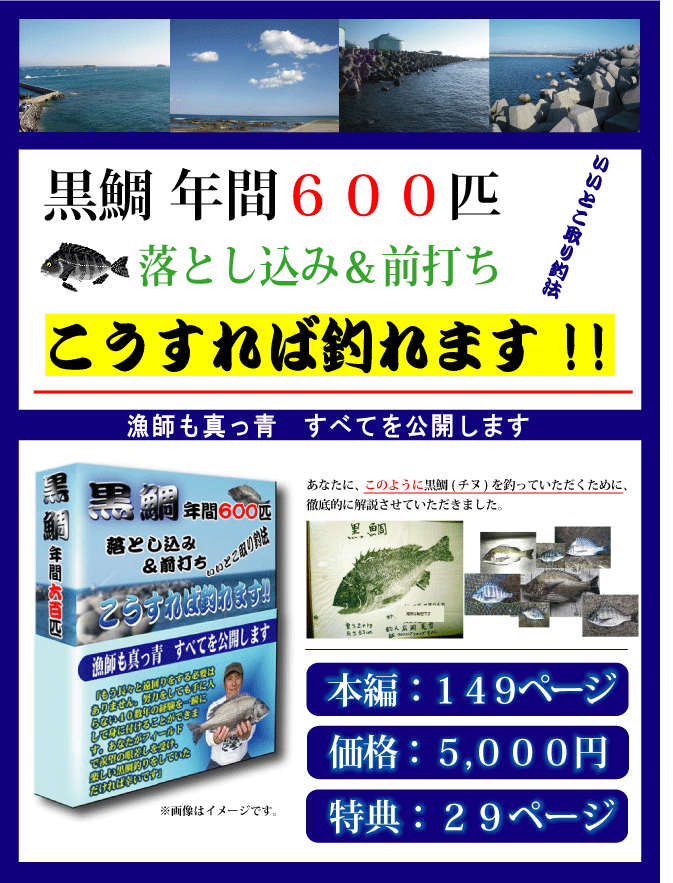 黒鯛 年間600匹 落とし込み&前打ち いいとこ取り釣法 こうすれば釣れます!! 黒鯛 年間600匹 落とし込み&前打ち いいとこ取り釣法 こうすれば釣れます!!